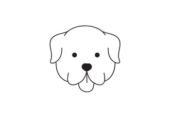 Comment faire un ménage efficace avec un animal de compagnie