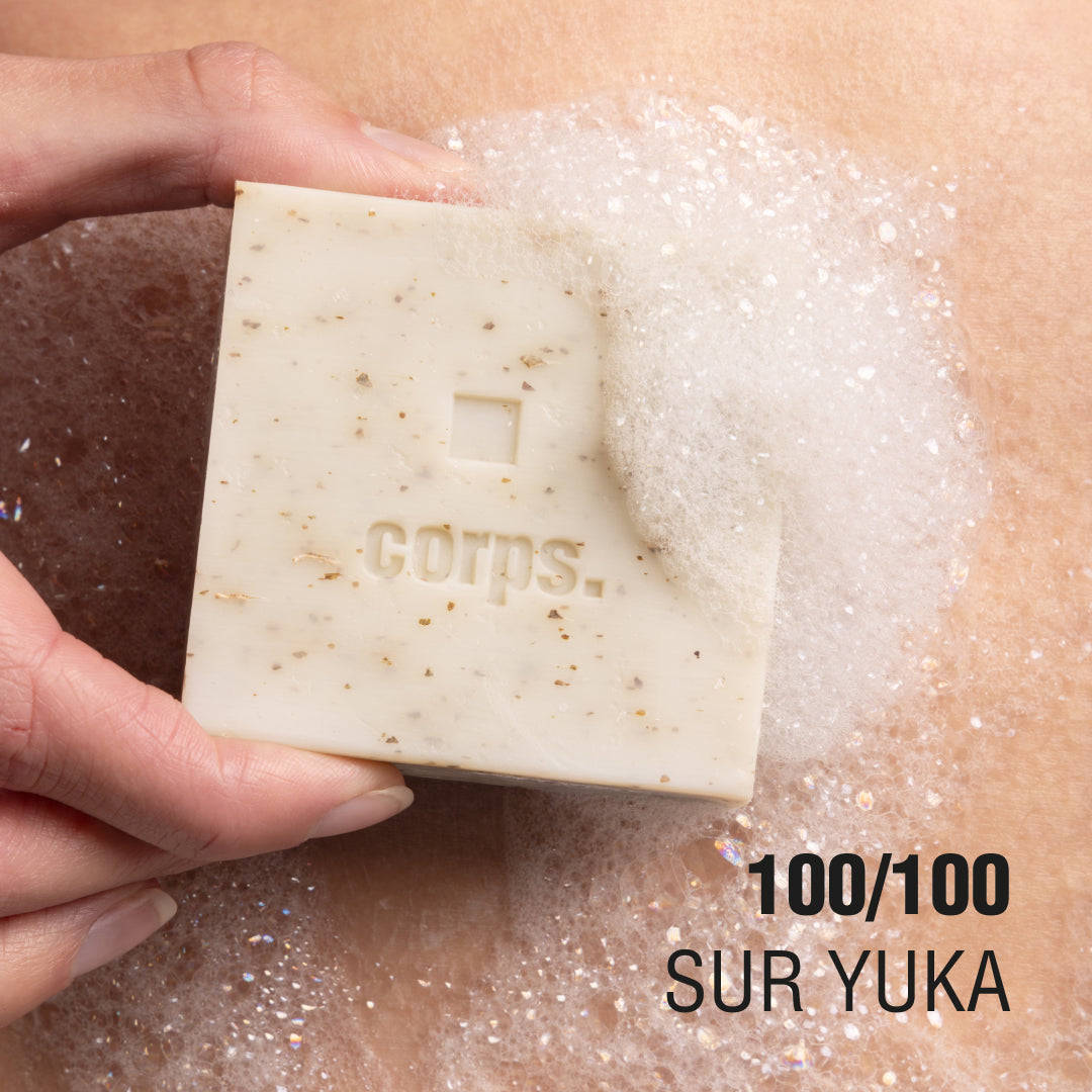 Gel douche solide - Karité