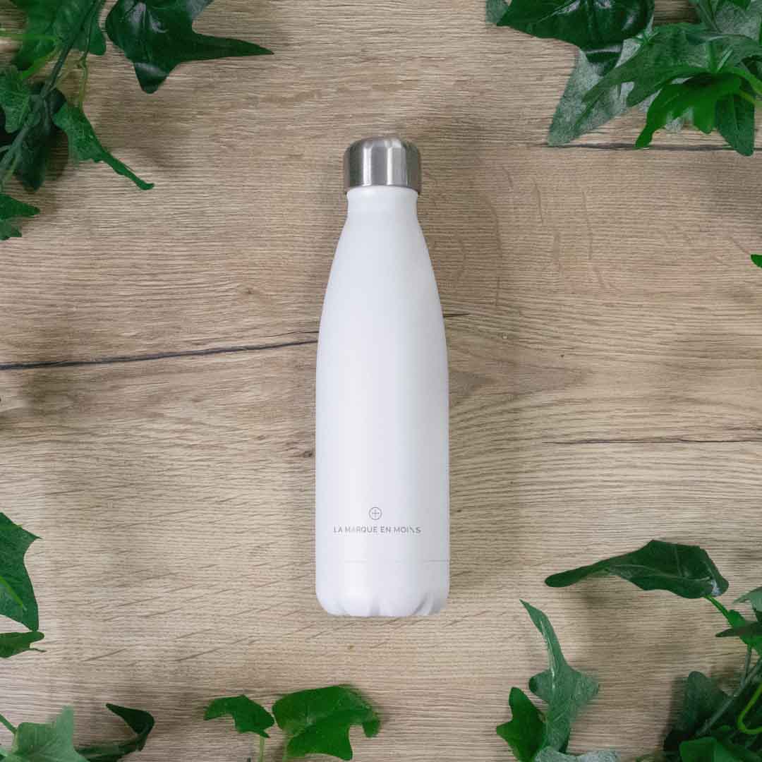Gourde Inox
