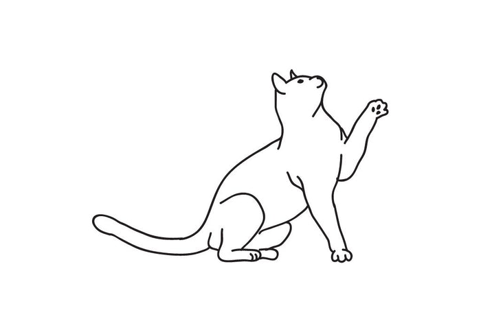 Comment nettoyer le pipi de chat ?